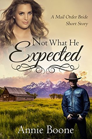 Not What He Expected (Mail Order Bride Short Stories #1)