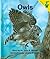 Early Reader: Owls