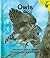 Early Reader: Owls