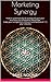 Marketing Synergy: How to systematically & strategically give your business the competitive advantage, make your competitors irrelevant and become # 1 in your industry