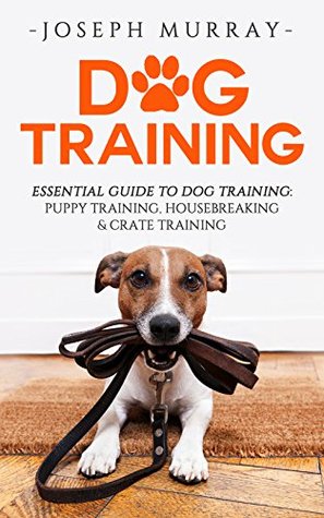 puppy training essentials