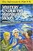 Mystery Under the Midnight Moon (The Adirondack Kids #15)