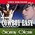 Cowboy Easy (Blaecleah Brothers, #1)