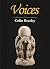 VOICES by Colin Beazley