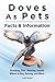 Doves As Pets: Breeding, Di...