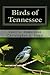 Birds of Tennessee: A New Annotated Checklist
