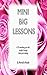 Mini Big Lessons by Meredith  Marple