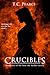 Crucibles - Book two of the Into the Aether series
