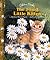 The Timid Little Kitten by Barbara Hazen Shook
