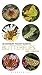 Pocket Guide to Butterflies (Pocket Guides)