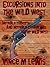 Excursions Into The Wild West by Vince M. Lewis