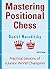 Mastering Positional Chess: Practical Lessons of a Junior World Champion