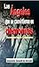 LOS ÁNGELES QUE SE CONVIRTIERON EN DEMONIOS: Demonología, doctrina cristiana (Spanish Edition)