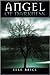 Angel of Darkness (The Day-...
