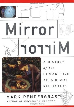 Mirror Mirror: A History Of The Human Love Affair With Reflection (Hardcover)