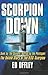 Scorpion Down by Ed Offley