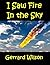 I Saw Fire In the Sky