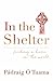 In the Shelter: Finding a Home in the World