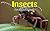 Insects: Fun Facts For Kids, Picture Books For Kids