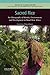 Sacred Rice: An Ethnography of Identity, Environment, and Development in Rural West Africa