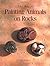 The Art of Painting Animals on Rocks