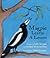 Magpie Learns a Lessons