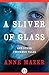 A Sliver of Glass by Anne Mazer