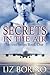 Secrets in the Air (Secrets, #1)