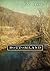Bottomland