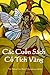 Cac Cuon Sach Co Tich Vang: The Yellow Fairy Book (Vietnamese Edition)