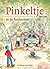 Pinkeltje en de flonkersteen (Pinkeltje, #9)