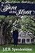A Secret of the Heart (Amis...
