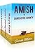The Amish Romance in Lancaster County BOXED SET: Mary's Faith, Hanna's Journey Home, Katie's Amish Choice) (Amish in Lancaster County #1-3)