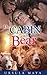 The Cabin was Bear (Alpha Werebears, #4)