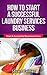 How To Start A Successful Laundry Services Business by Stuart  Palmer