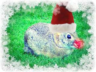 An Interview With the Christmas Bunny (ebook)