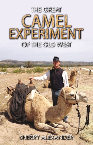 The Great Camel Experiment of the Old West (Paperback)