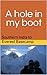 A hole in my boot: Southern India to Everest Basecamp