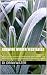 Growing Winter Vegetables: What you can grow to eat during the winter months and what you can do on your allotment in Autumn and Winter.