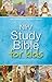 NIrV, Study Bible for Kids