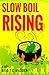 Slow Boil Rising by D.T.E. Madden