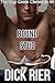 Bound Stud (The Gay Genie Chronicle 10)
