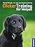 Clicker Training für Welpen