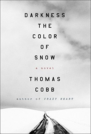 Darkness the Color of Snow: A Gripping Psychological Thriller of Dark Secrets and Vengeance in a Small Town