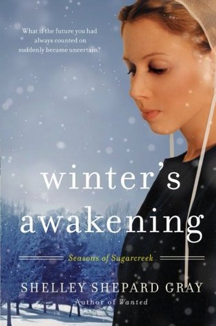 Winter's Awakening (Seasons of Sugarcreek, #1)