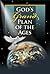 God's Grand Plan of the Ages