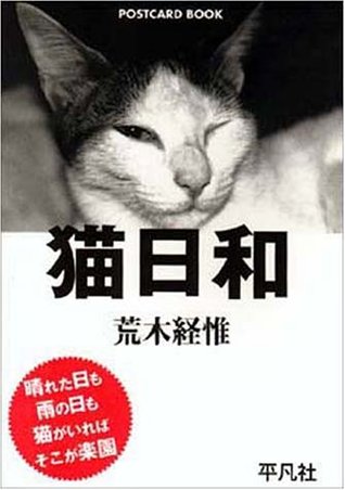 猫日和