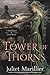 Tower of Thorns (Blackthorn & Grim, #2) by Juliet Marillier