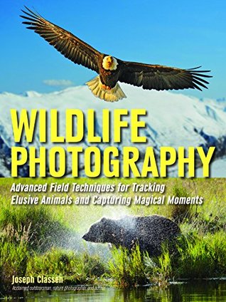 Wildlife Photography: Advanced Field Techniques for Tracking Elusive Animals and Capturing Magical Moments