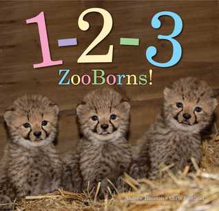 1-2-3 ZooBorns! (Hardcover)